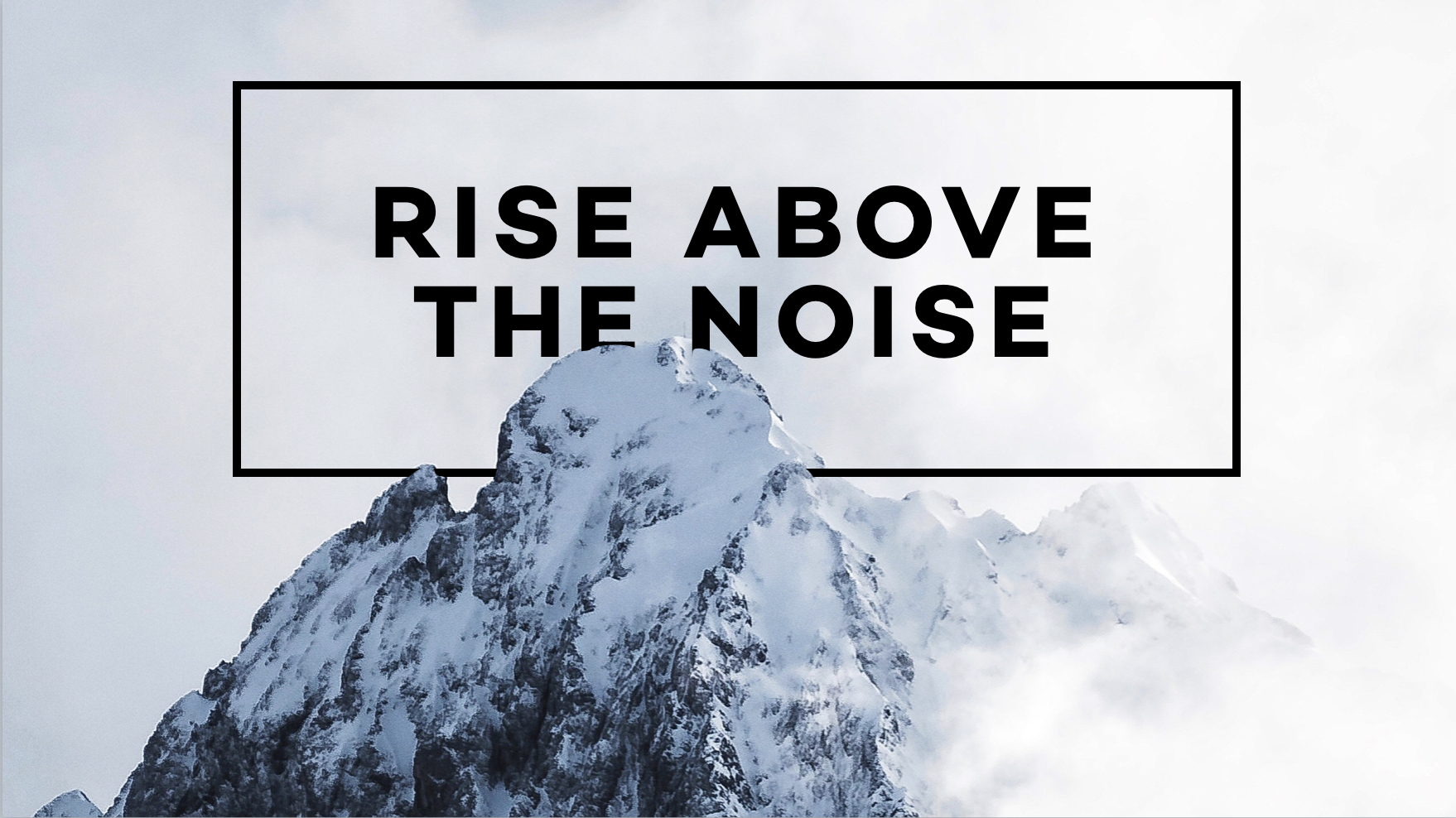 Rise above the Noise