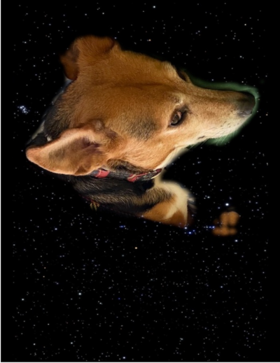 dog-in-space-1